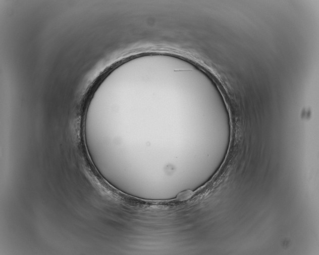 X0000094071503200711091139