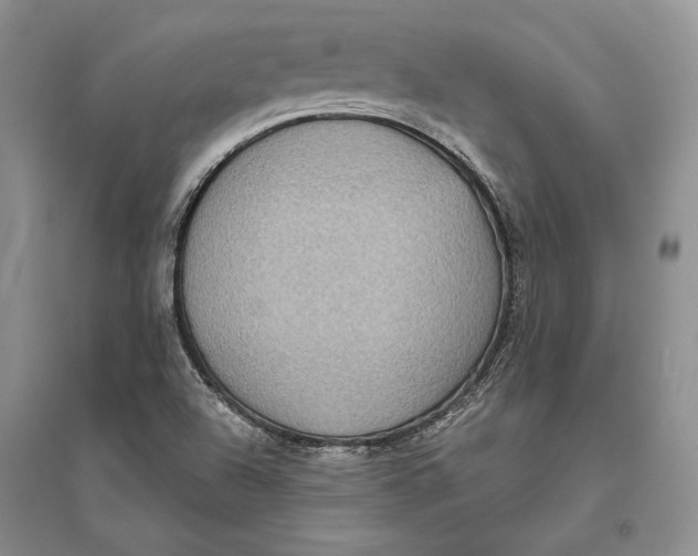 X0000094071504200711091139