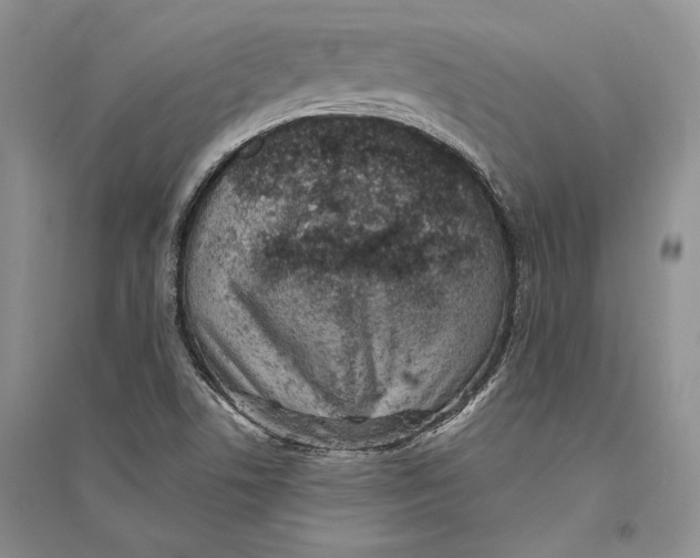X0000094071506200711091139