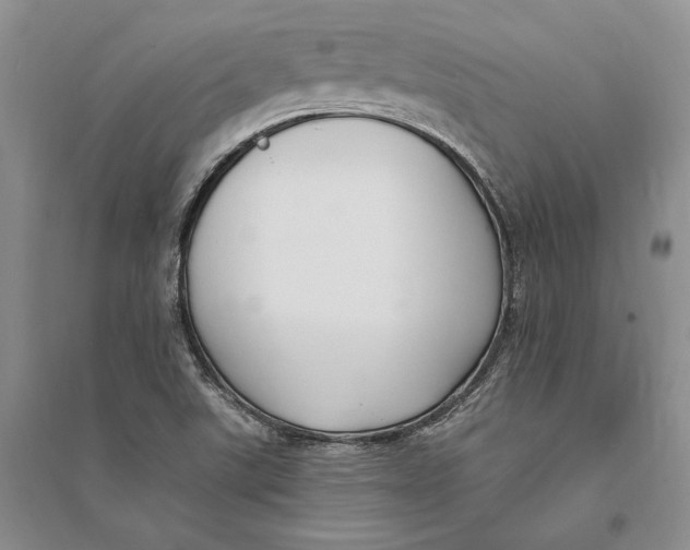 X0000094071507200711091139