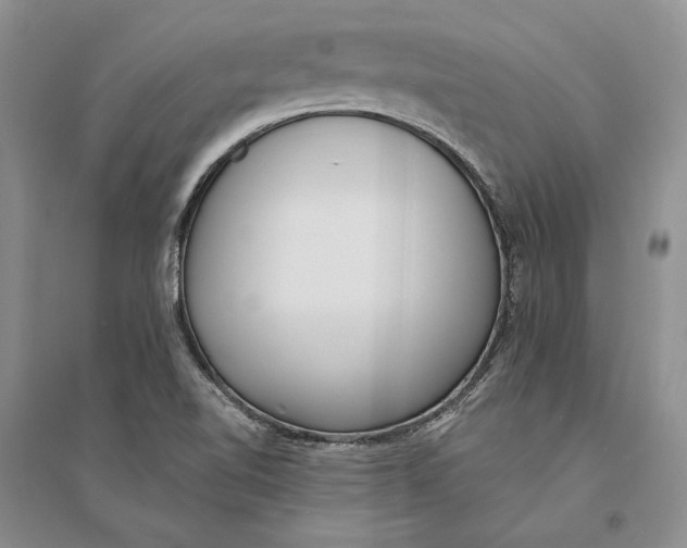 X0000094071510200711091139