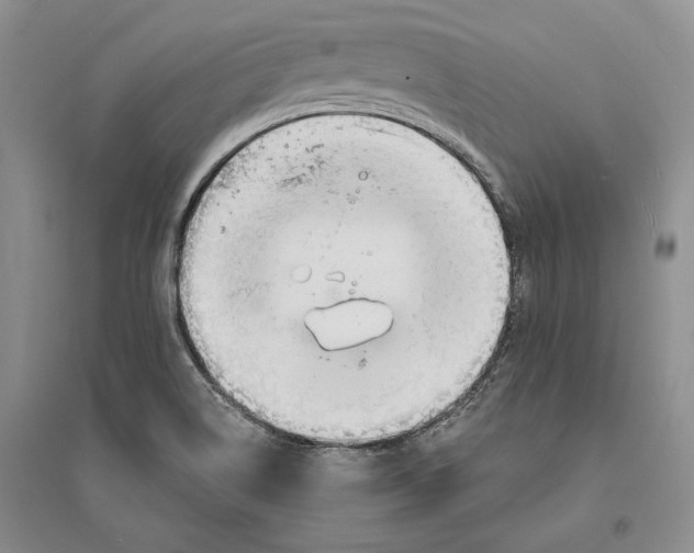 X0000094071514200711091139