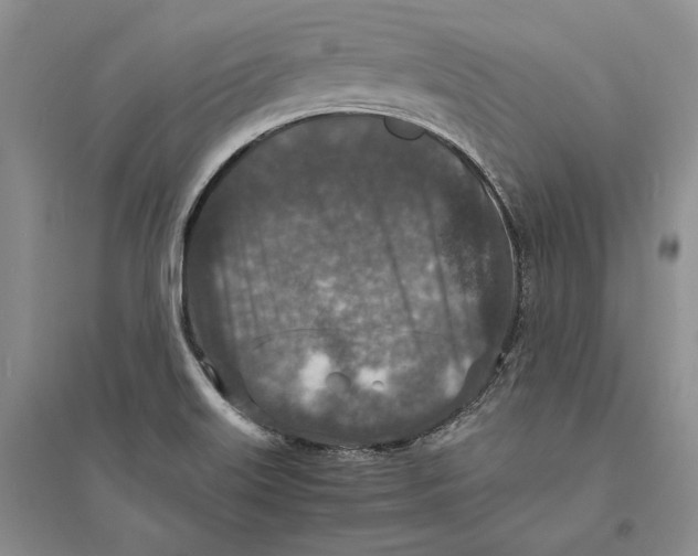 X0000094071515200711091139