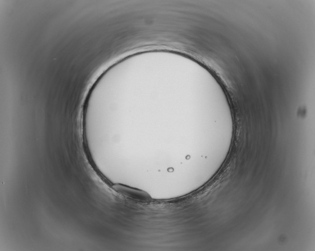 X0000094071516200711091139