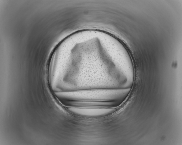 X0000094071517200711091139