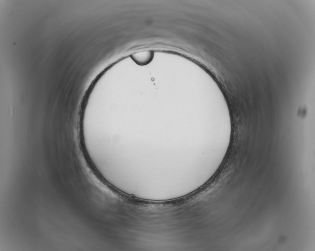 X0000094071518200711091139