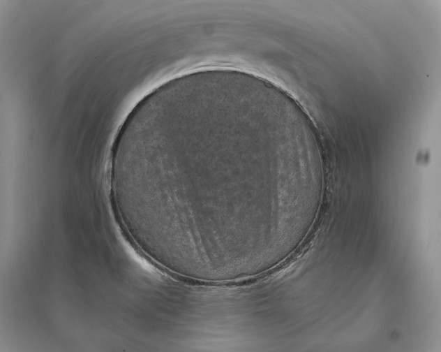X0000094071519200711091139