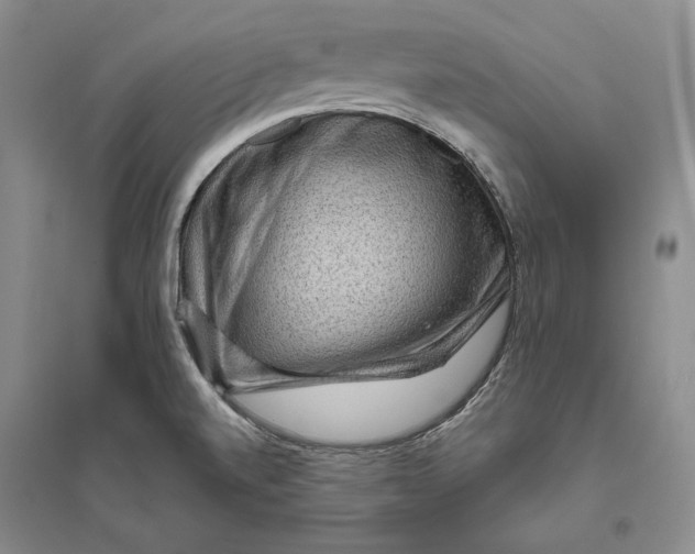 X0000094071520200711091140