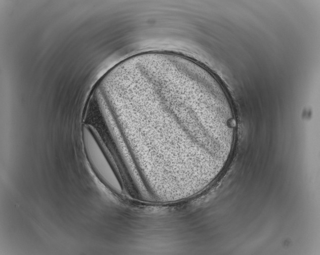 X0000094071521200711091140