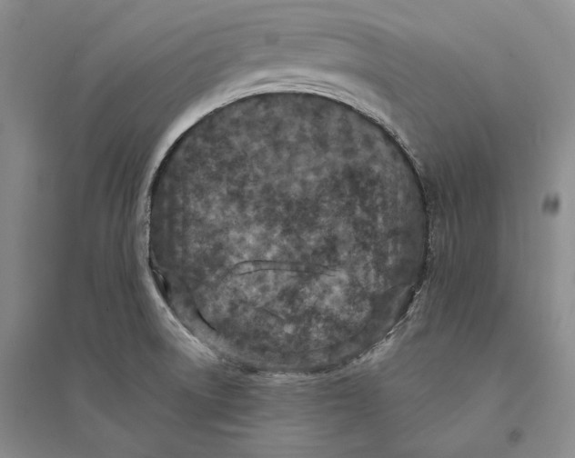 X0000094071522200711091140
