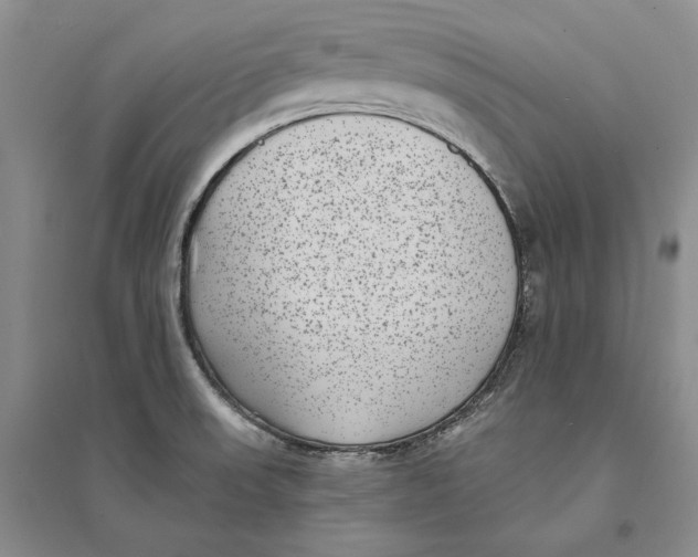 X0000094071523200711091140