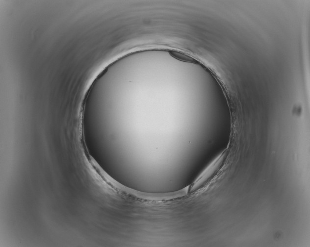 X0000094071524200711091140