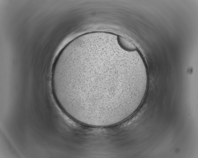 X0000094071525200711091140