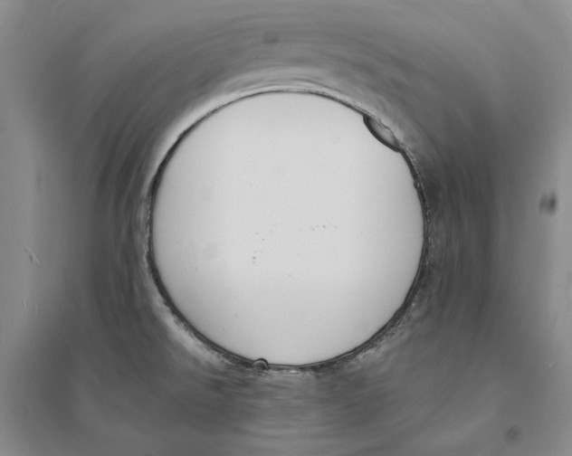 X0000094071526200711091140