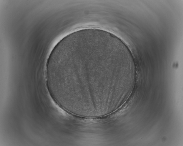 X0000094071527200711091140