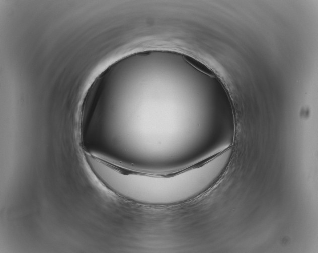 X0000094071528200711091140