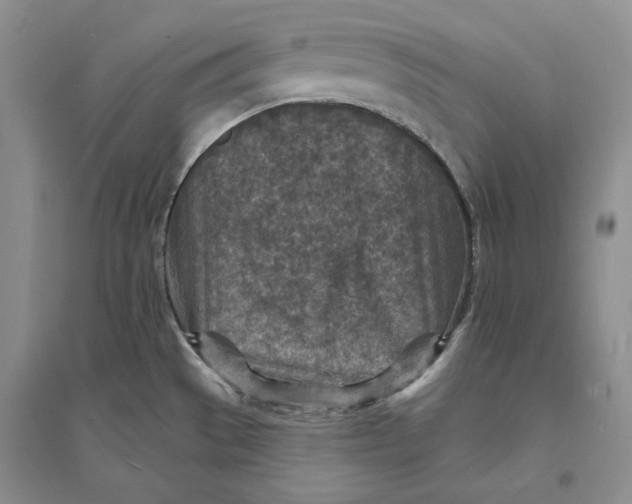 X0000094071529200711091140