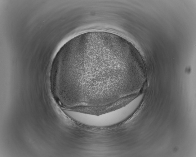 X0000094071530200711091140