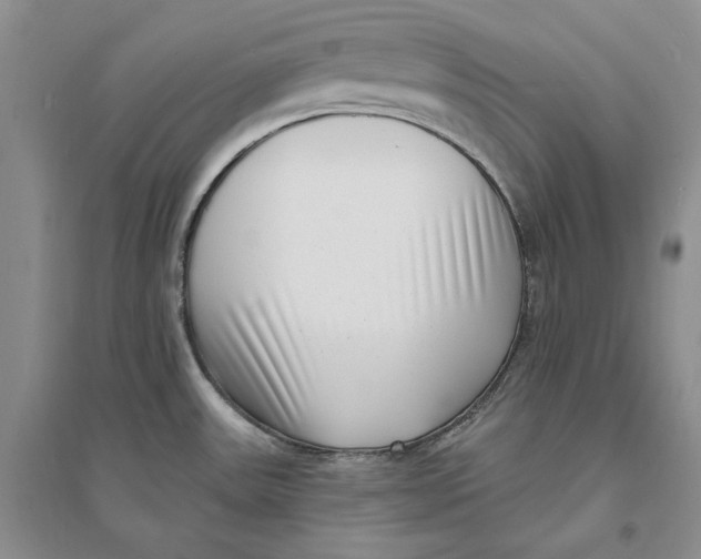 X0000094071531200711091140