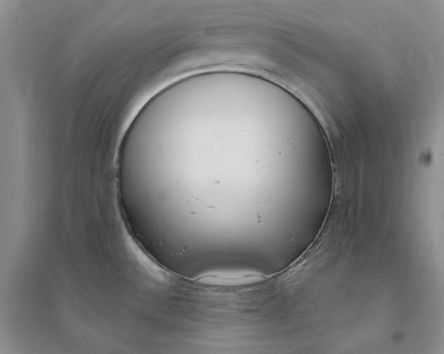X0000094071532200711091140