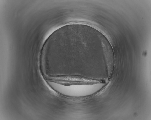 X0000094071533200711091140