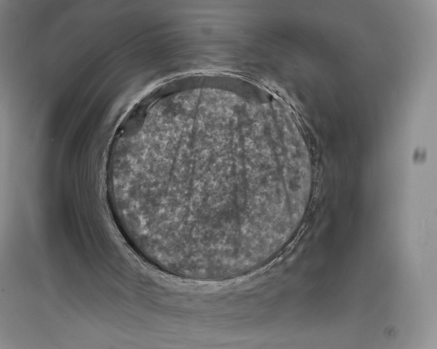X0000094070002200711161558