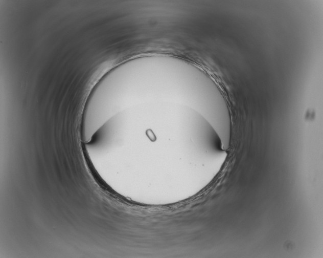 X0000094070003200711161558