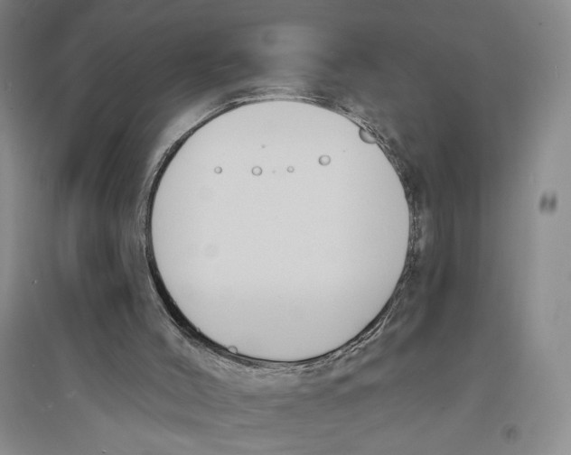 X0000094070004200711161558