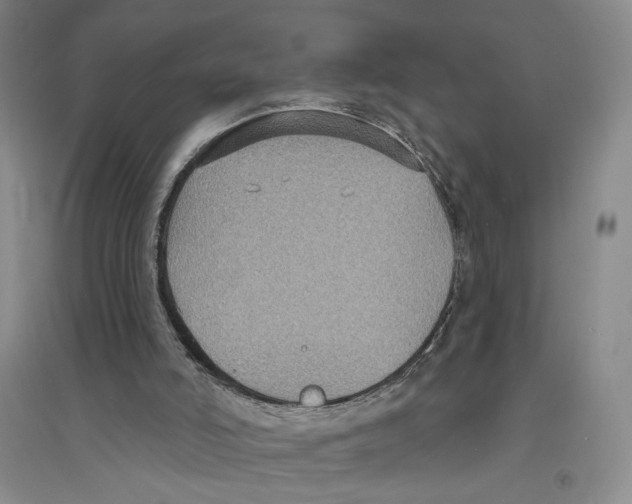 X0000094070006200711161558