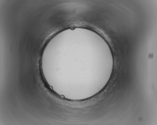 X0000094070010200711161557