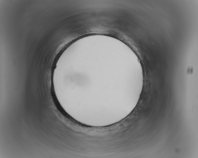 X0000094070011200711161557