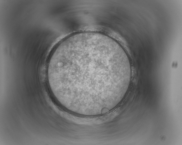X0000094070012200711161557