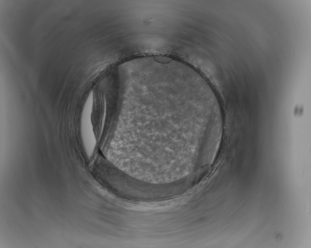X0000094070017200711161557