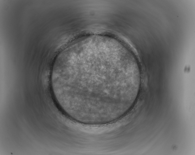 X0000094070018200711161557