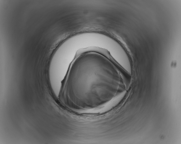 X0000094070019200711161557