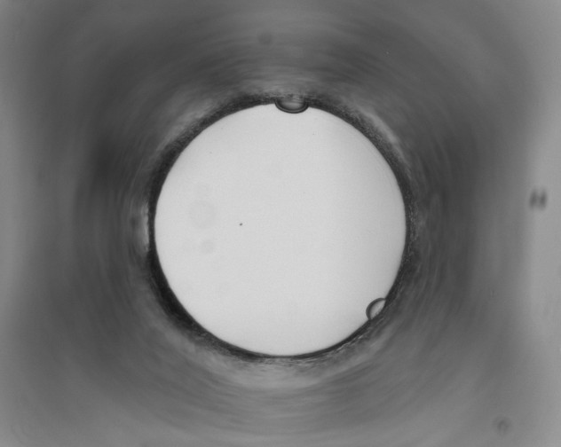 X0000094070020200711161557
