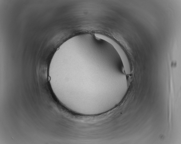 X0000094070021200711161557