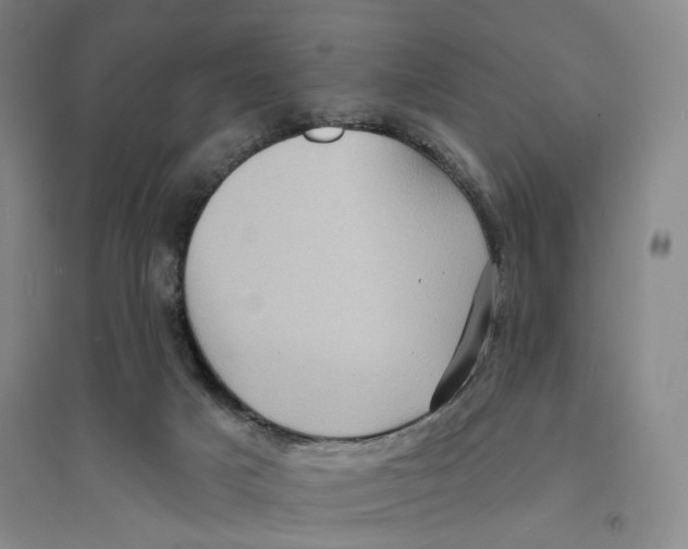 X0000094070025200711161557