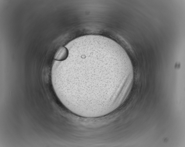 X0000094070026200711161557