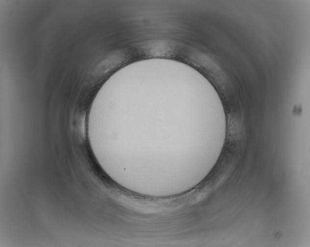 X0000094070028200711161557