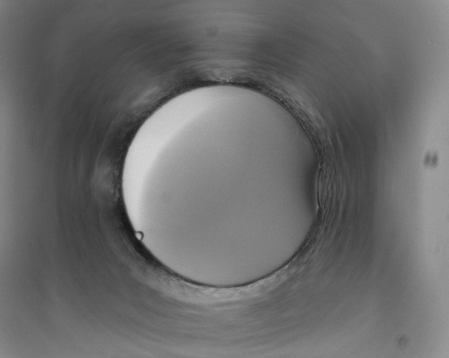 X0000094070031200711161557