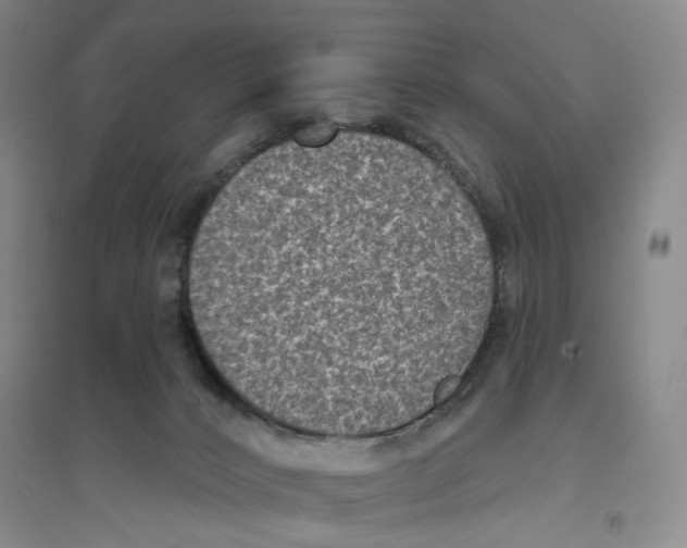 X0000094070032200711161557