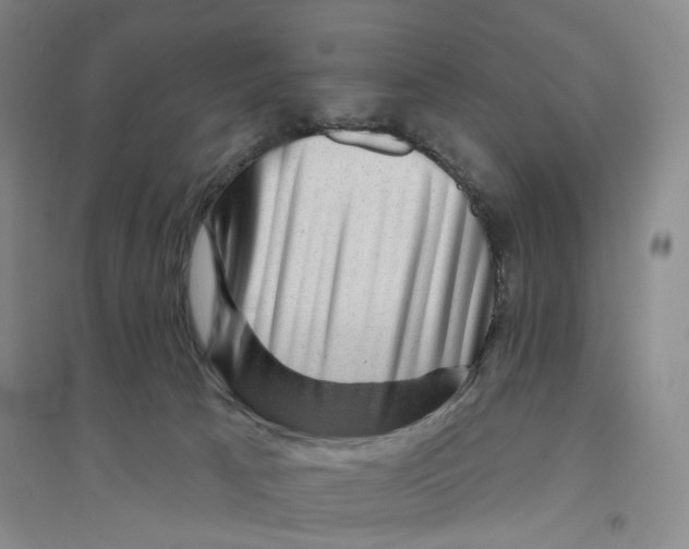X0000094070033200711161557