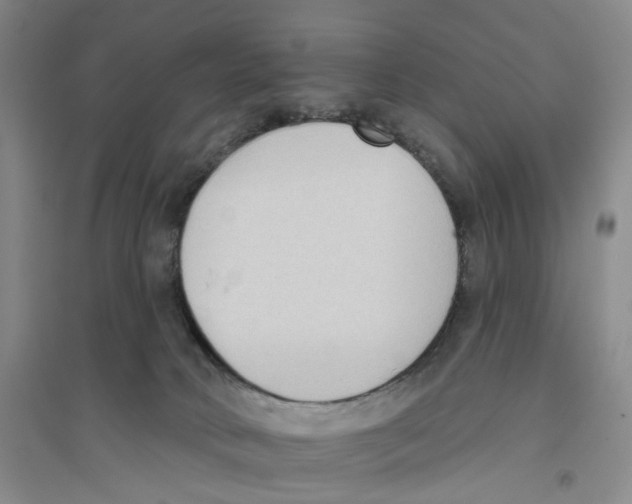 X0000094070034200711161557