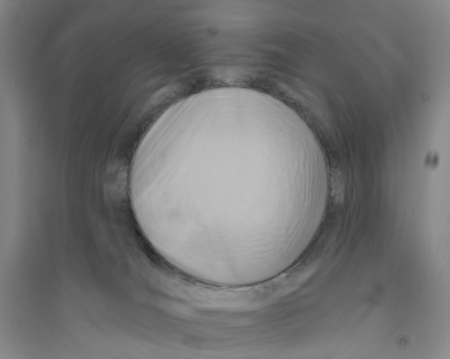 X0000094070036200711161557