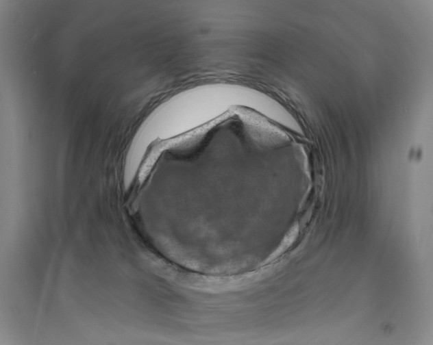 X0000094070037200711161557