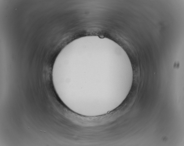 X0000094070038200711161557