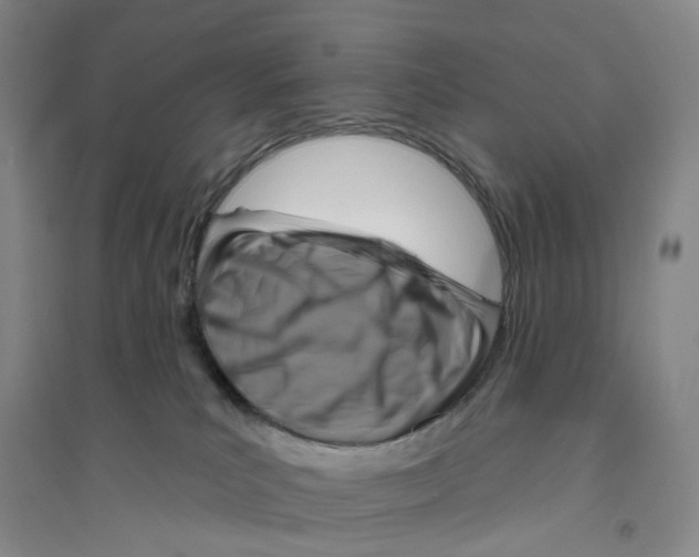 X0000094070039200711161557