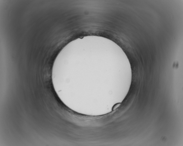 X0000094070040200711161557