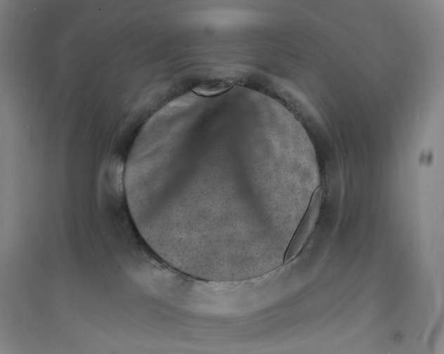 X0000094070041200711161557